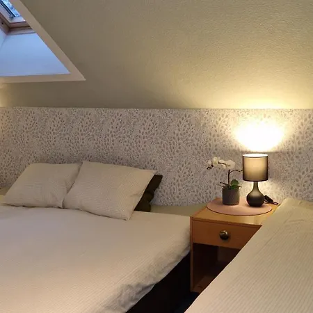 Freedom65 And Caravan Reval