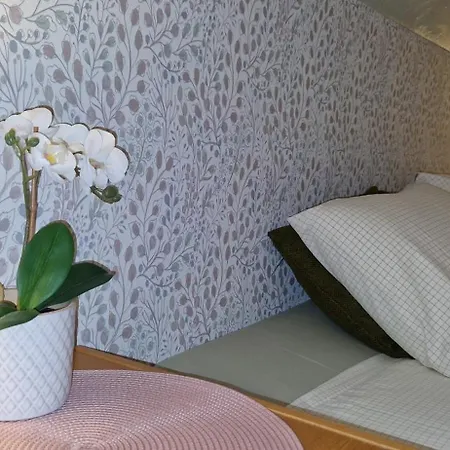 Freedom65 And Caravan *