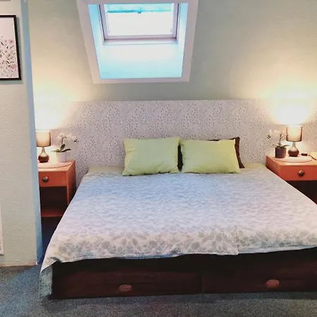 Freedom65 And Caravan Tallinn