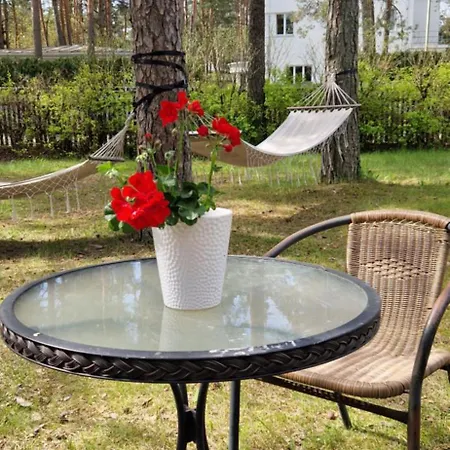 Ostello Freedom65 And Caravan *