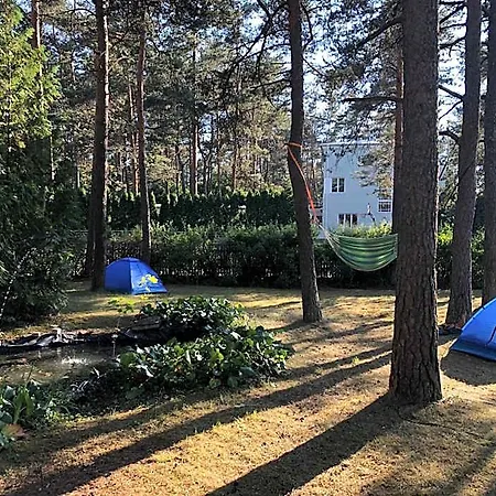 Freedom65 And Caravan Hostel Tallinn