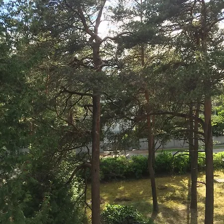 Freedom65 And Caravan Vandrarhem