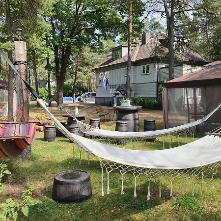 Freedom65 And Caravan Tallin