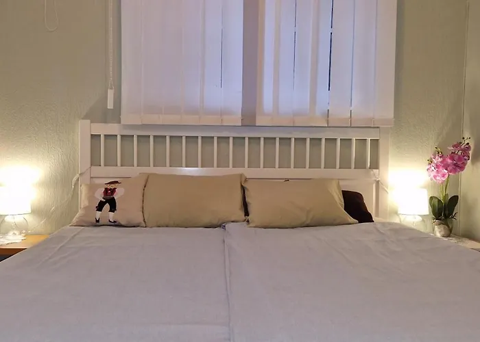 Freedom65 And Caravan Hostal