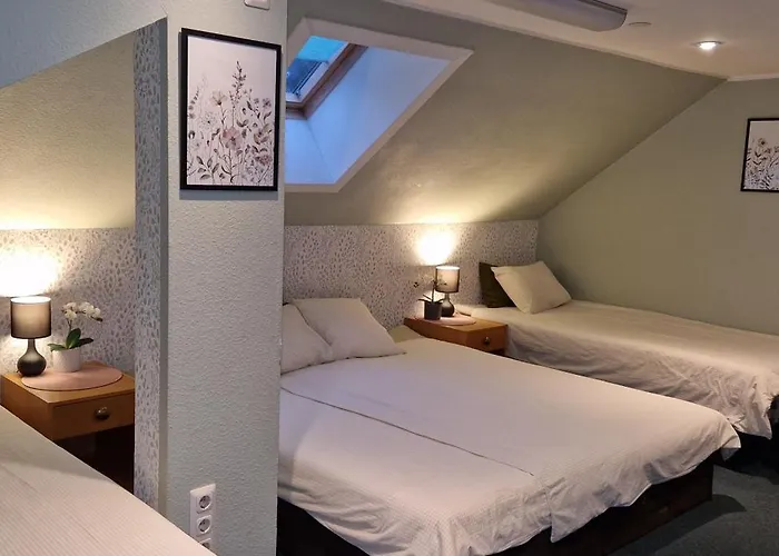 Freedom65 And Caravan Auberge de jeunesse *