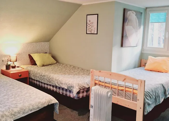 Freedom65 And Caravan * Tallinn