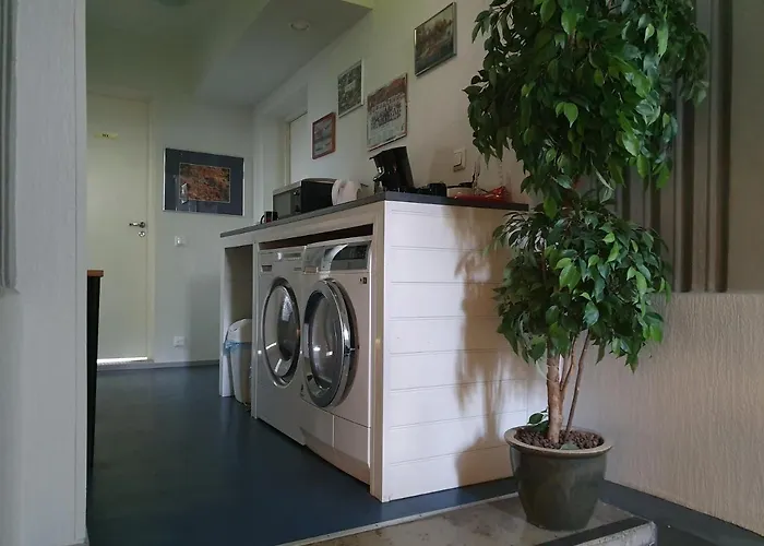 Freedom65 And Caravan * Tallinn