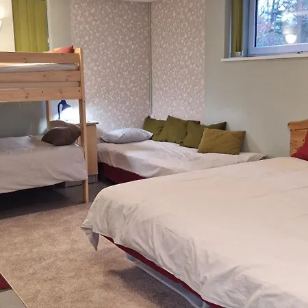 Freedom65 And Caravan טאלין