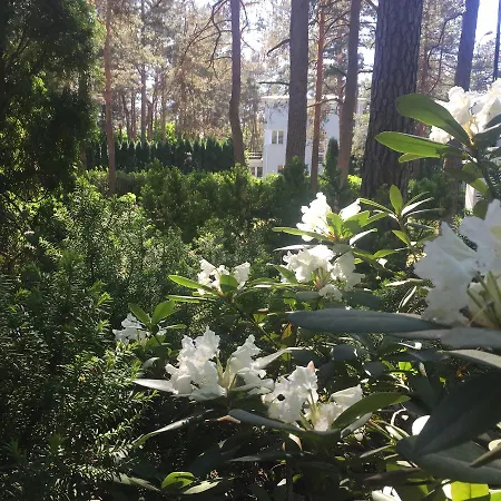 Freedom65 And Caravan אכסניה