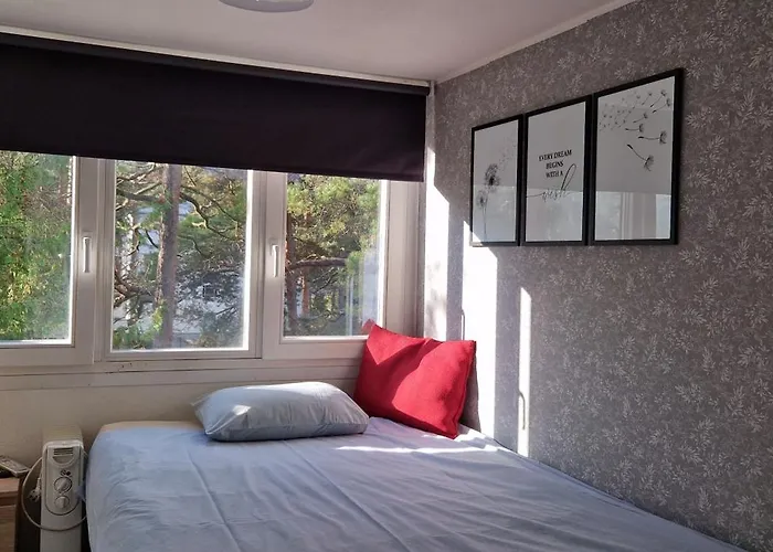 Freedom65 And Caravan * 塔林