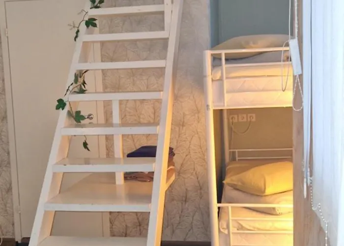 Freedom65 And Caravan Ostello Reval