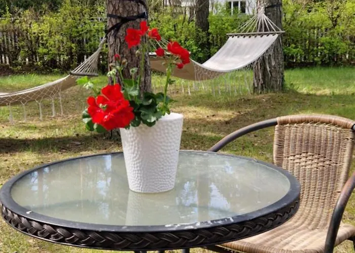 Ostello Freedom65 And Caravan *