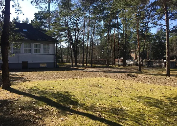 Freedom65 And Caravan Ostello Reval