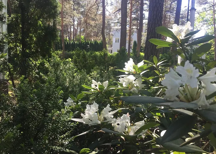 Freedom65 And Caravan Ostello