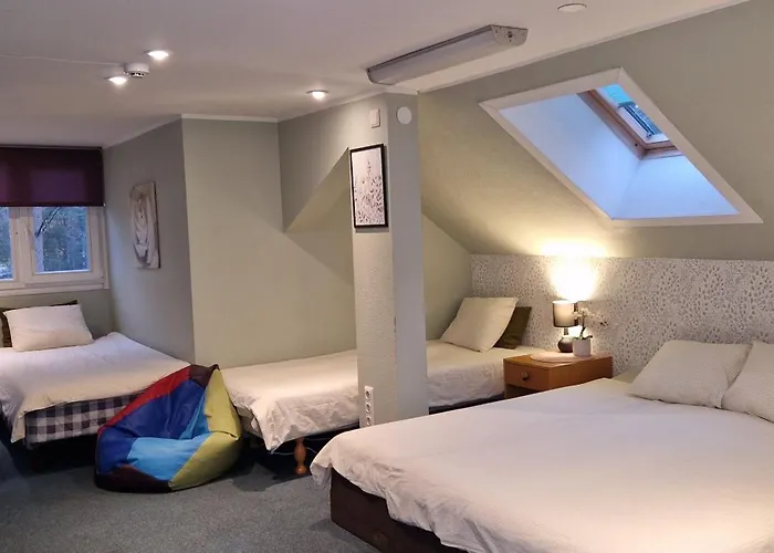 Freedom65 And Caravan * تالين