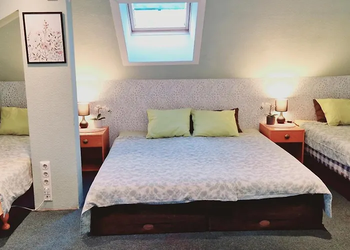 Freedom65 And Caravan تالين