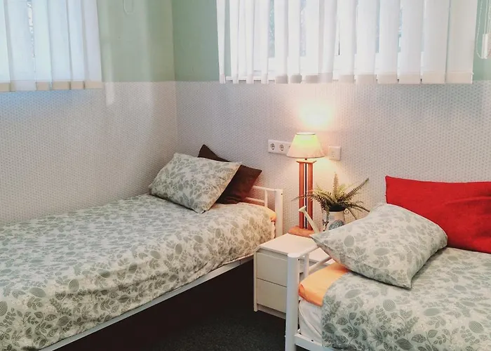 Freedom65 And Caravan تالين