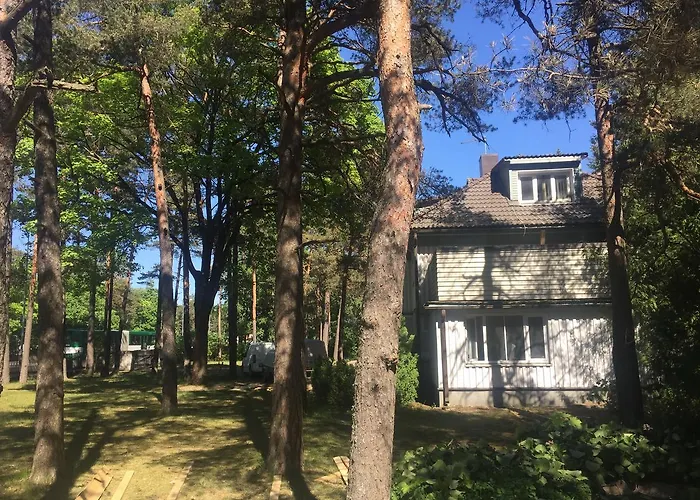 Hostel Freedom65 And Caravan Tallin